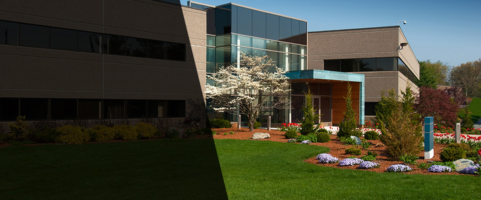 Mora Landscapers