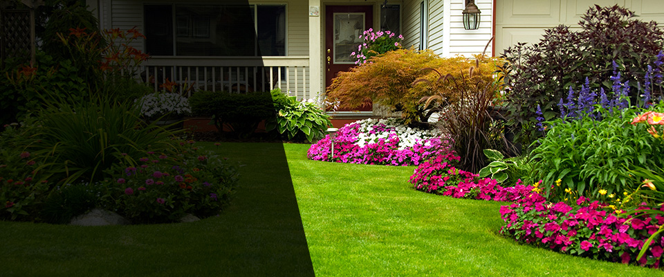 Mora Landscapers